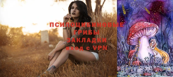 амф Заволжск