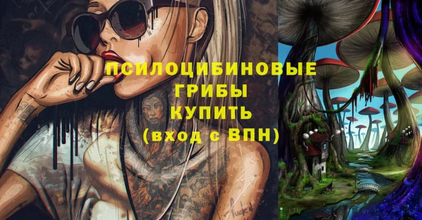 амф Заволжск