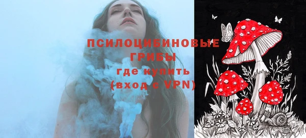 spice Заволжье