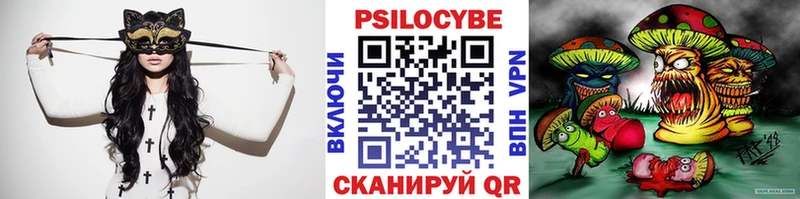 Купить где  Тейково  Галлюциногенные грибы MAGIC MUSHROOMS 